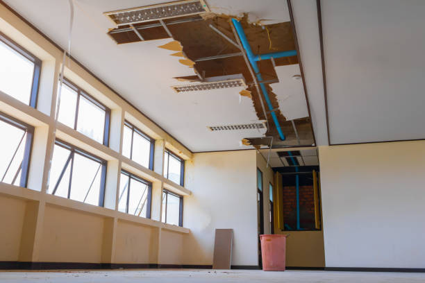 Best 24-hour water damage restoration  in St Paul Park, MN
