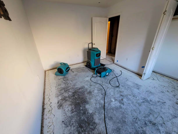 Best Sewage cleanup and water damage restoration  in St Paul Park, MN