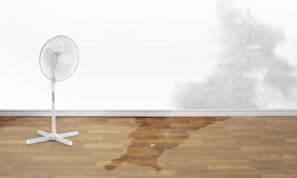 Sewage cleanup and water damage restoration in St Paul Park, MN