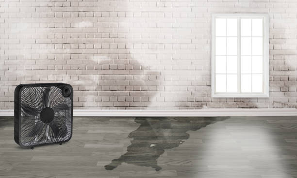 Best Commercial water damage restoration  in St Paul Park, MN
