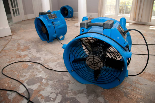 Best Professional water damage repair  in St Paul Park, MN