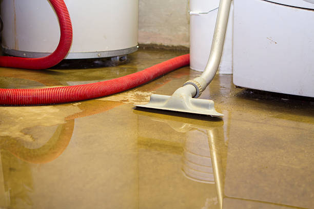 Reliable St Paul Park, MN Water damage restoration Solutions