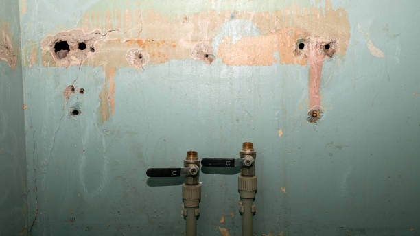 Best Fire Damage Restoration  in St Paul Park, MN