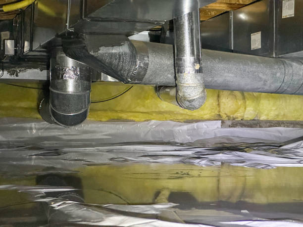 Best Flood restoration services  in St Paul Park, MN