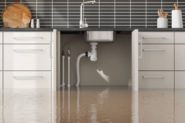 Best Water damage contractors near me  in St Paul Park, MN