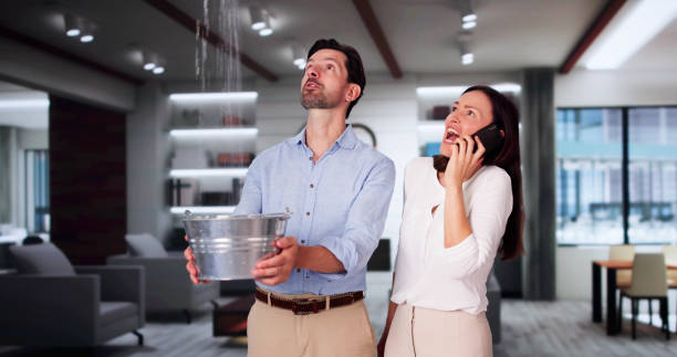 Best 24/7 water damage repair  in St Paul Park, MN