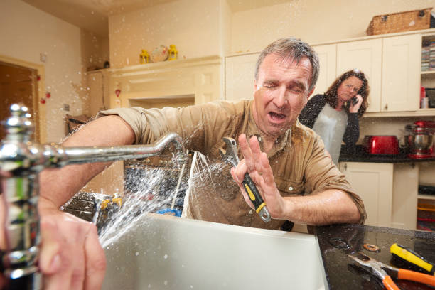 Best Emergency water damage restoration  in St Paul Park, MN